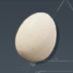 Egg