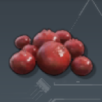 Red Berries