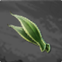 Agave Leaf 