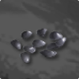 Agave Seed 