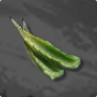 Aloe Leaf 