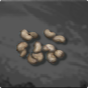 Cashew Seed 