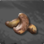 Cashew 
