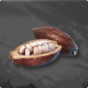 Cocoa Fruit 