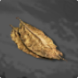 Dried Tobacco