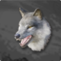 Elite Arctic Wolf's Head