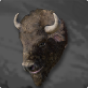 Elite Bison's Head