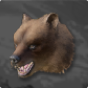 Elite Brown Bear's Head