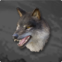 Elite Grey Wolf Head