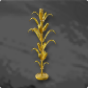 Golden Corn