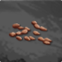 Guava Seed 