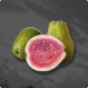 Guava 
