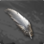 Ostrich Feather