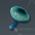Mysterious Mushroom