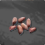 Peanut Seed 