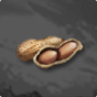 Peanut 