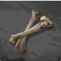 Premium Beast Bone
