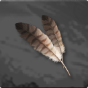 Premium Feather