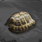 Premium Turtle Shell