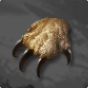Rare Claw