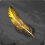 Rare Feather