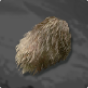 Saber Toothed Predator Hide