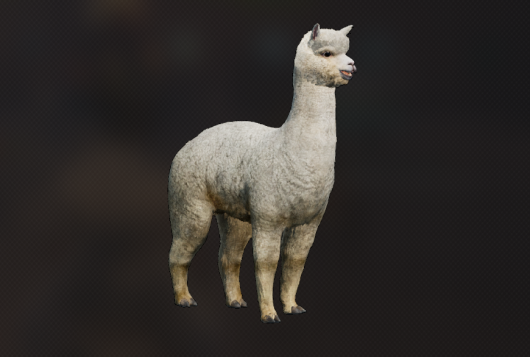 Alpaca 