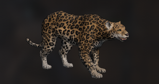 Jaguar 