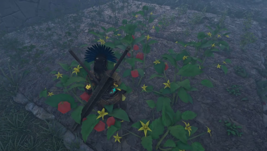 Farming Guide Early Game
