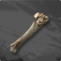 Beast Bone