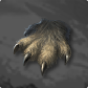 Claw