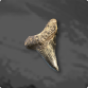 Sharp Fang