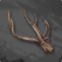 Sharp Horn