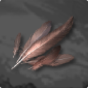 Tempest Griffin Feather
