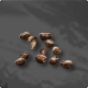 Tobacco Seed 
