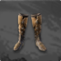 Bronze Shoes 
