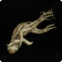 Deviated Bellflower 