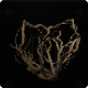 Heart Vine