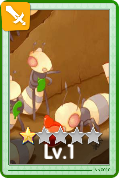 Andre Card 