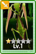 Mantis Card 