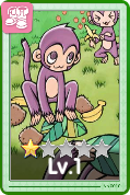 Yoyo Card 