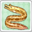Dragon Ell Item