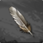 Vulture Feather