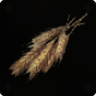 Wheat 
