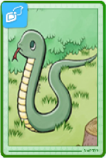 Boa Card 
