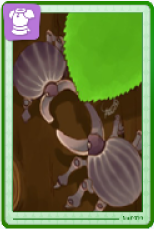 Horn Card 