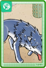 Wolf Card 