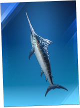Secured Marlin Surfboard